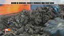 Boom di rincari: cozze e vongole mai così care