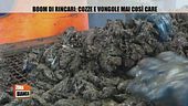 Boom di rincari: cozze e vongole mai così care