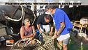 I pescatori di Lampedusa: "Non troviamo lavoratori, colpa del Reddito"