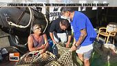 I pescatori di Lampedusa: "Non troviamo lavoratori, colpa del Reddito"