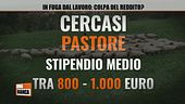 In fuga dal lavoro: colpa del reddito?