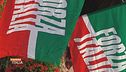 Guardarsi dentro? La politica ci prova!