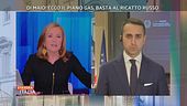 Luigi Di Maio espone la strategia del Governo italiano