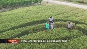 L'Italia si prepara alla guerra del pane