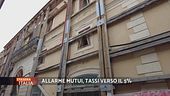 Mattoni salati!