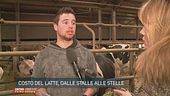 Costo del latte, dalle stalle alle stelle