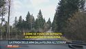 La strada delle armi dalla Polonia all'Ucraina