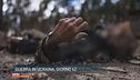 Guerra in Ucraina, giorno 42