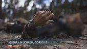 Guerra in Ucraina, giorno 42