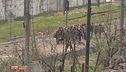 Guerra in Ucraina: Giorno 84