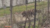 Guerra in Ucraina: Giorno 84