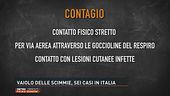 Vaiolo delle scimmie, sei casi in Italia