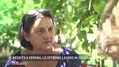 Reddito a Verona, le offrono lavoro in Sicilia