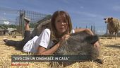 "Vivo con un cinghiale in casa"