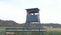 A caccia di cinghiali nella campagna veneta