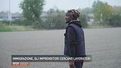 Immigrazione, gli imprenditori cercano lavoratori