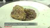 Insetti a tavola, tutti i segreti