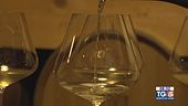 Gusto di Vino: il Verdicchio