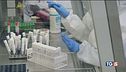 Omicron 81% dei casi, primi segni di frenata