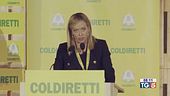 "Risposte efficaci e un alto profilo"