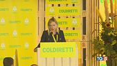 Cdx lavora sul governo priorità caro energia