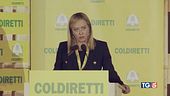 Prima le bollette poi totoministri!