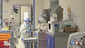 Giù ricoveri e contagi quasi tutti Omicron