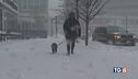 Bufera di neve in Usa, costa est paralizzata
