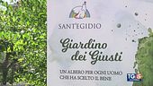 Il giardino dei giusti di Civitavecchia