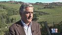 Gusto di Vino - Il Chianti classico