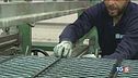 La strage sul lavoro: tre morti al giorno