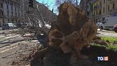 La bufera a Milano: feriti, danni e pura