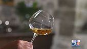 Gusto di Vino: il Moscatello di Castiglione