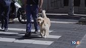 Gli occhi di chi non può vedere