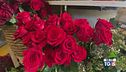 Rose rosse... e non solo!
