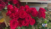 Rose rosse... e non solo!