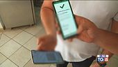 Greenpass al lavoro obbligo per over-50