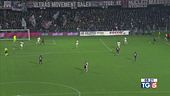 Frenata del Milan Atalata americana