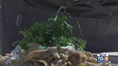 Gusto Verde: tagliolini con farina ai porcini e crema al Piave Oro