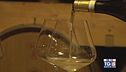 Gusto di Vino: il Verdicchio