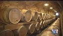Alla ricerca del vino perfetto