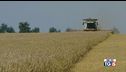 Stop di Kiev all'export alimentare