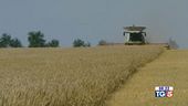 Stop di Kiev all'export alimentare