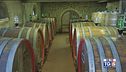 Gusto DiVino: Il Brunello di Montalcino