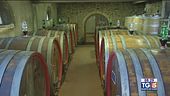 Gusto DiVino: Il Brunello di Montalcino