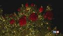 La magia del Natale tra luci e mercatini