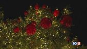 La magia del Natale tra luci e mercatini