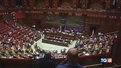 Il PD e i 5 Stelle divisi su tutto