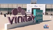 Vinitaly special edition