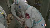 I contagi in netto calo Cina, Shangai nel caos